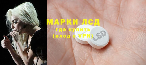 тгк Алзамай