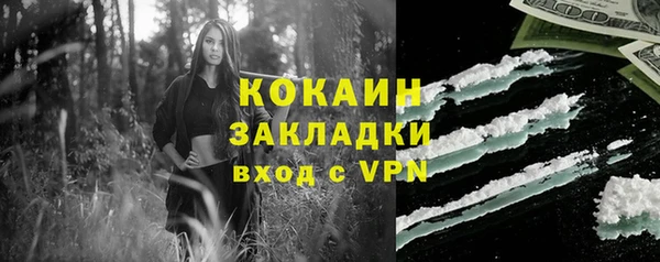 соль ск Алексин