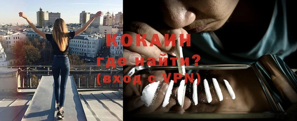 тгк Алзамай