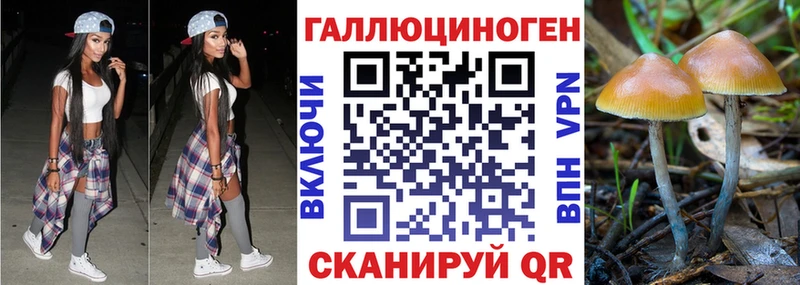 Псилоцибиновые грибы Magic Shrooms  где купить наркоту  kraken зеркало  Омск 